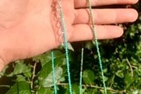 Dainty Turquoise Necklace, Layering Necklace, Turquoise and Sterling Silver Necklace